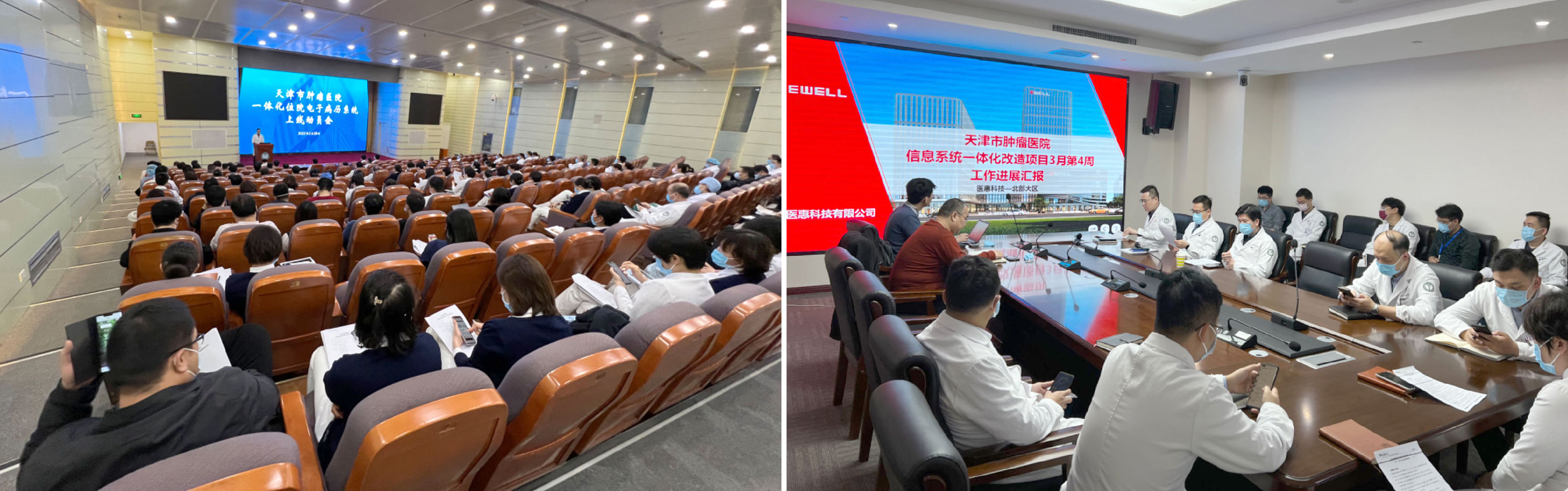 未标题-1_画板 1.jpg